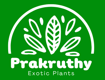 Prakruthy Exotic Plants-Buy Live Plants Online