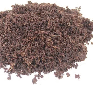 Cocopeat